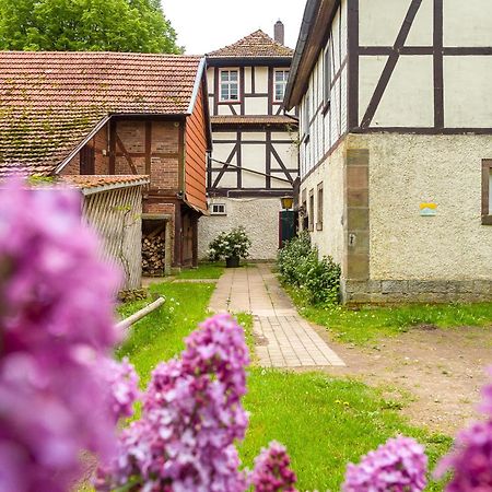 Vila Forsthaus Halbemark Bad Sooden-Allendorf Exteriér fotografie